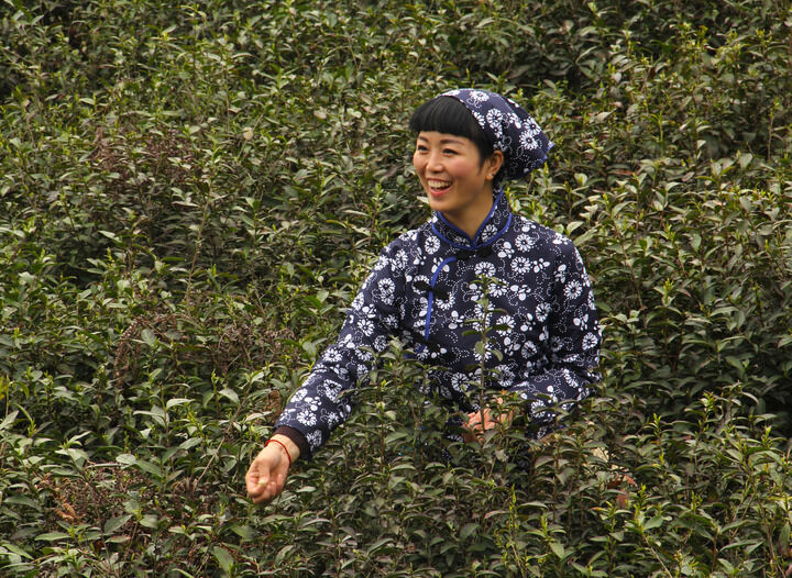 96间房主跳舞 雨伞谋杀